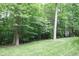 Lush backyard showing mature trees and verdant lawn, offering privacy and tranquility at 1108 Kalworth Rd, Wake Forest, NC 27587