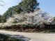 Picturesque street view featuring beautiful blooming trees at 1108 Kalworth Rd, Wake Forest, NC 27587