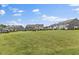 Neighborhood view showcasing beautiful landscape with townhomes with well-manicured lawns at 1141 Amber Shadow Dr # 101, Durham, NC 27703