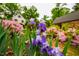 View of a vibrant garden with Iris flowers in the foreground at 220 Glandon Dr, Chapel Hill, NC 27514