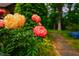 Close up image of vibrant flowers along a stone walkway in the home's outdoor garden at 220 Glandon Dr, Chapel Hill, NC 27514