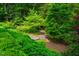 Scenic garden featuring a stone path, vibrant greenery, and mature trees at 220 Glandon Dr, Chapel Hill, NC 27514