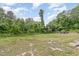 A view of the backyard with a large grassy area and surrounding mature trees at 2616 Wedgedale Ave, Durham, NC 27703