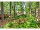 Lush backyard oasis with mature trees, colorful flowers, and inviting scenery at 4420 Tetbury Pl, Raleigh, NC 27613