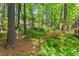 Secluded backyard surrounded by mature trees and lush greenery, offering privacy and tranquility at 4420 Tetbury Pl, Raleigh, NC 27613