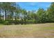 View of a large private backyard with a pond surrounded by trees creating a nature filled setting at 4455 Old Us 421, Lillington, NC 27546