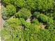 Aerial shot of house in the trees at 606 Dennys Store Rd, Roxboro, NC 27574