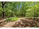 Wooded backyard with mature shade trees and a clearing with lawn at 606 Dennys Store Rd, Roxboro, NC 27574