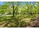 Lush backyard featuring mature trees, creating a serene and private outdoor space at 606 Dennys Store Rd, Roxboro, NC 27574