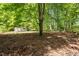 Expansive backyard with mature trees at 606 Dennys Store Rd, Roxboro, NC 27574