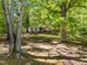 Front yard view of the house between two large trees and green foliage at 606 Dennys Store Rd, Roxboro, NC 27574