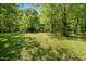 Expansive lawn framed by mature trees and blue skies at 606 Dennys Store Rd, Roxboro, NC 27574