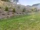 Landscaped backyard with grassy lawn, hillside, and young trees, offering a peaceful outdoor setting at 633 Hardin Hill Ln, Knightdale, NC 27545