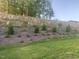 Sloping backyard with young trees and new ground cover at 633 Hardin Hill Ln, Knightdale, NC 27545