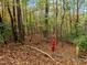 A beautiful lot with hardwood trees and a fire hydrant for easy access at Tbd Hudson Hills Rd, Pittsboro, NC 27312