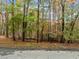 Street view showing the front of the lot with beautiful hardwood trees at Tbd Hudson Hills Rd, Pittsboro, NC 27312