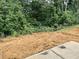 The backyard offers views of a lush green forest at 1085 Fairhaven Dr # 49, Mebane, NC 27302