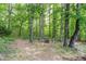 Backyard seating area amongst the trees, offering tranquil retreat and connection with nature at 1176 Stoney Mountain Rd, Rougemont, NC 27572