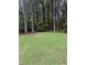 Expansive grassy backyard with mature trees, offering a private and serene outdoor space at 282 W Thicket Dr, Angier, NC 27501