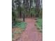 Secluded backyard with a charming path leading to a bench surrounded by lush greenery at 282 W Thicket Dr, Angier, NC 27501