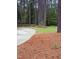 Landscape featuring pine straw and mature trees with a bench in the yard at 282 W Thicket Dr, Angier, NC 27501