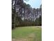 View of the tree-lined yard, offering ample space and a serene environment at 282 W Thicket Dr, Angier, NC 27501