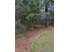 Wooded area with a variety of trees, plants, and natural ground cover at 282 W Thicket Dr, Angier, NC 27501
