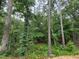 Heavily wooded backyard with mature trees and lush vegetation at 3324 Founding Place, Raleigh, NC 27612