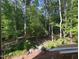 Backyard view featuring mature trees and natural surroundings at 3324 Founding Place, Raleigh, NC 27612