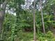 A densely wooded lot ready for development at 3324 Founding Place, Raleigh, NC 27612