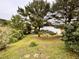 Backyard with mature trees, lake view, and greenery at 501 Bellmeade Bay Dr, Durham, NC 27703