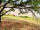 Beautiful backyard with mature tree and views of the lake at 501 Bellmeade Bay Dr, Durham, NC 27703
