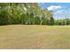 Expansive backyard featuring well-maintained lawn and mature trees, offering privacy and natural beauty at 6042 Elliott Bridge Rd, Linden, NC 28356