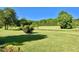 Expansive backyard featuring lush green grass and mature trees, creating a serene and private outdoor space at 668 Surl Mount Tirzah Rd, Timberlake, NC 27583