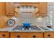 Close up of the gas cooktop with granite countertops, tile backsplash, and wooden cabinetry at 7400 Portpatrick Ct, Wake Forest, NC 27587