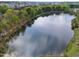 Scenic aerial view of a tranquil lake with a fountain, surrounded by lush greenery at 10410 Rosegate Ct, Raleigh, NC 27617