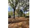 Leafy backyard featuring a large tree, a shed, and plenty of space at 112 Hilton Ave, Durham, NC 27707