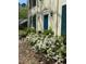 Close-up of front of home with flowering plants along the walkway at 112 Hilton Ave, Durham, NC 27707