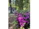 View of landscaping with vibrant azaleas next to storage shed at 112 Hilton Ave, Durham, NC 27707