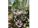View of lush azaleas and greenery with wooden fencing for privacy at 112 Hilton Ave, Durham, NC 27707