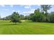Backyard with well-maintained lawn and mature trees at 1510 Asbury Church Rd, Sanford, NC 27330