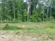 A wooded lot with a red fire hydrant on a grassy area in front of a heavily treed space at 1667 Pecan Drive # 25, Nashville, NC 27856