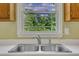 Close-up of the kitchen double sink with window and view to the trees outside at 205 Lizzie King Ct, Willow Springs, NC 27592