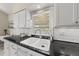 Kitchen sink features double basin and gooseneck faucet plus backyard views at 223 Hawthorne Rd, Raleigh, NC 27605