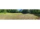 Expansive back yard, ready for recreation and outdoor activities at 236 Bragg Ln, Hurdle Mills, NC 27541