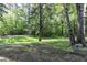 Picturesque backyard with mature trees, green grass, and wooded scenery at 434 Robin Rd, Chapel Hill, NC 27516