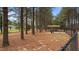 Well maintained fenced dog park area, picnic tables and water fountain surrounded by a wooded area at 520 Austin View Blvd, Wake Forest, NC 27587