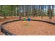 Community playground includes spinning mushrooms in mulched area at 520 Austin View Blvd, Wake Forest, NC 27587
