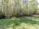 A lush backyard features a well-manicured lawn and mature trees at 5420 Deer Forest Trl, Raleigh, NC 27614
