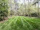 Beautiful backyard featuring a meticulously maintained lawn and mature trees offering privacy at 5420 Deer Forest Trl, Raleigh, NC 27614